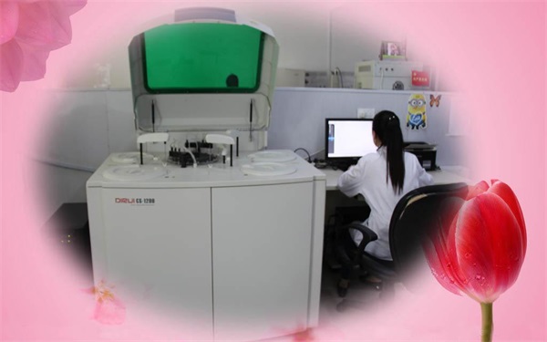  迪瑞CS1200全自动生化分析仪