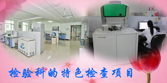 th 拷贝.jpg