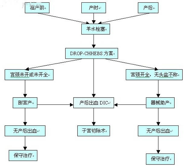 羊水栓塞1.jpg