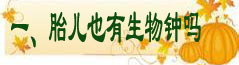 一、胎儿也有生物钟吗.jpg