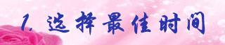 1.选择最佳时间.jpg