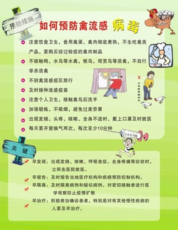 如何预防禽流感病毒.jpg