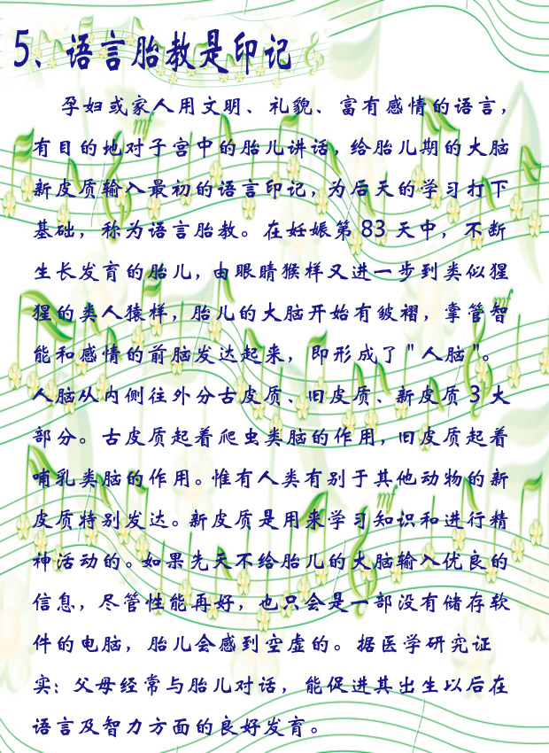 5语言.jpg