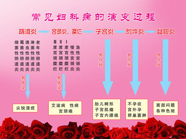 常见妇科病的演变过程.jpg