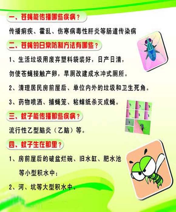 苍蝇传染疾病1.jpg