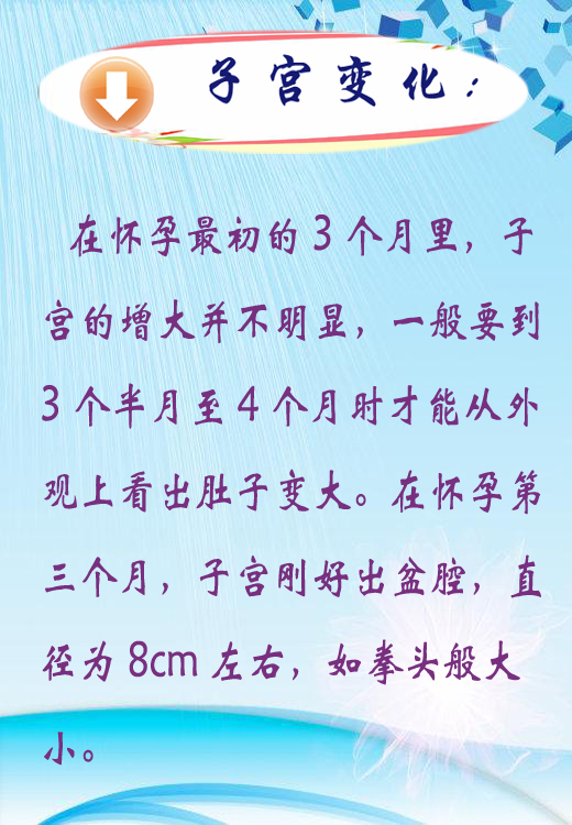 子宫变化1.jpg