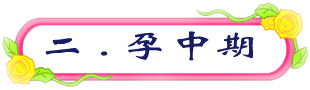 二.孕中期.jpg