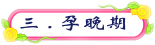 三.孕晚期.jpg