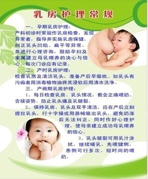 乳房护理常识.bmp