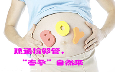输卵管4.bmp