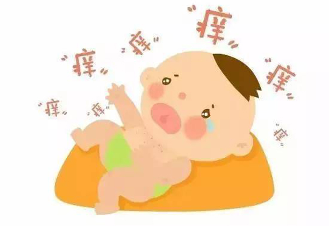 过敏4.jpg